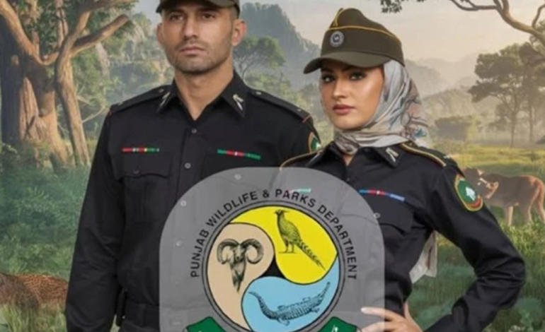  پنجاب وائلڈ لائف فورس میں خواتین کی شمولیت، مریم نواز کا تاریخی اقدام